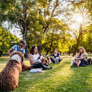 Part 1: Dog Parks! Yes, Your Dog Really Likes Them. You should also....