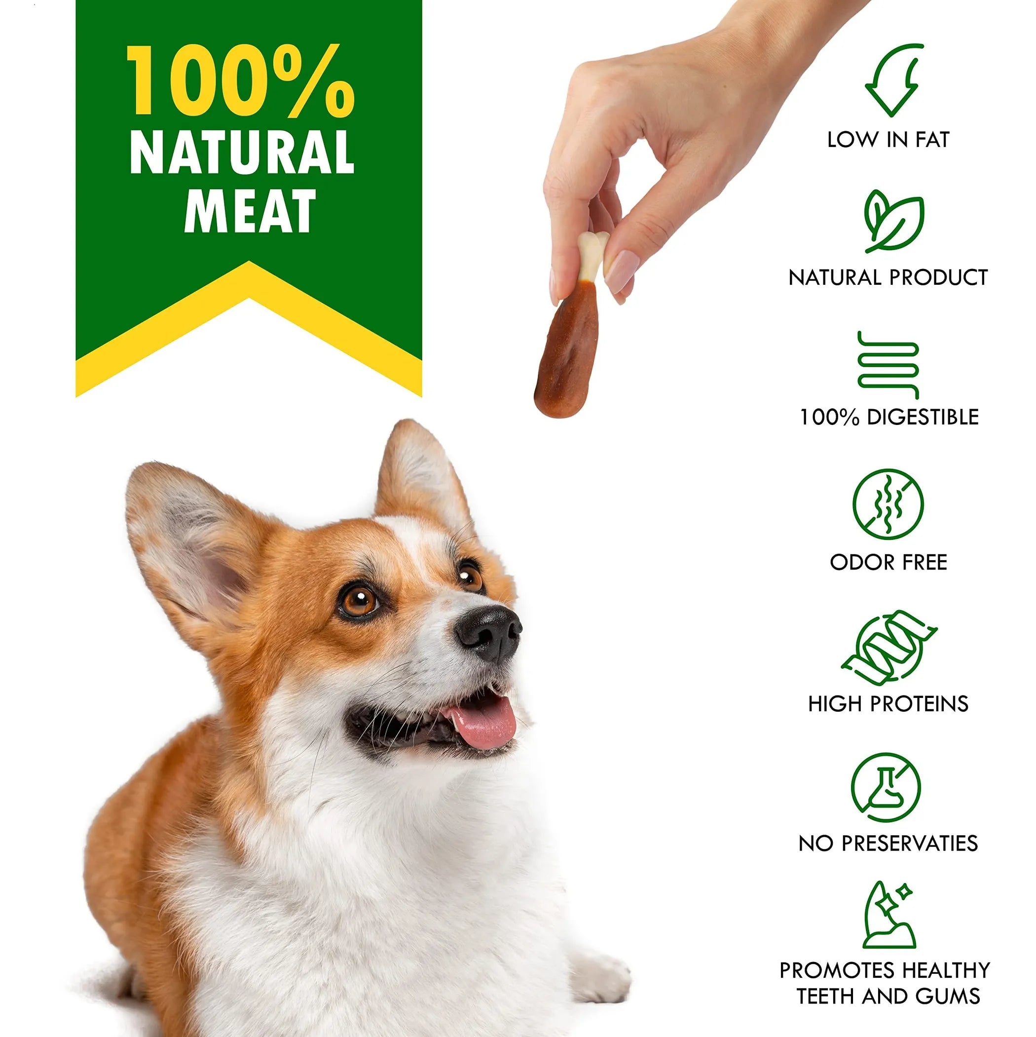 Dog Heathy Treats