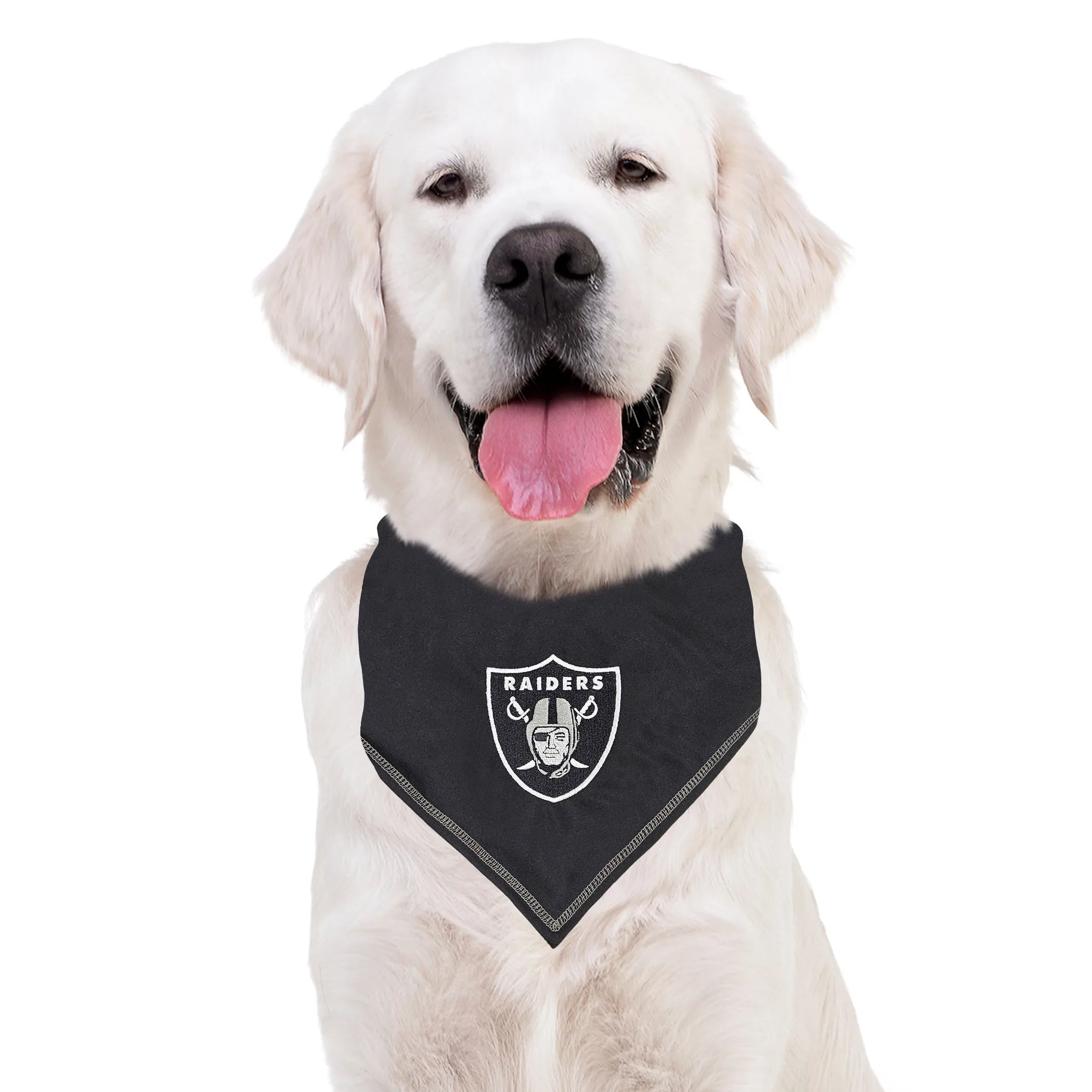 Dog Bandanas
