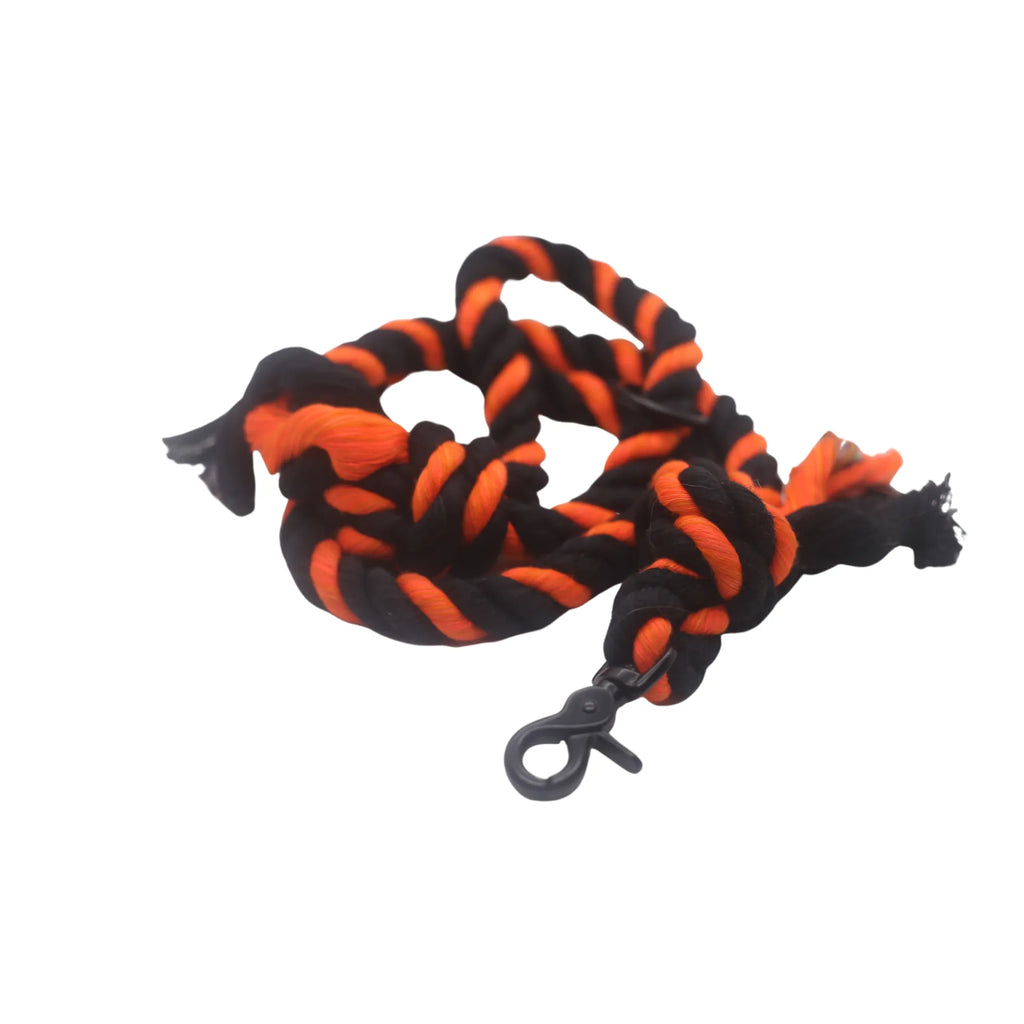 Halloween Leash