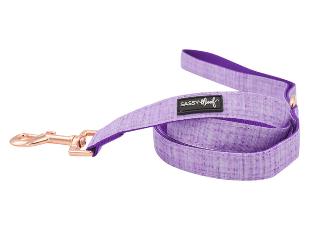 Leash - Size: ONE SIZE | Pack Of: 1