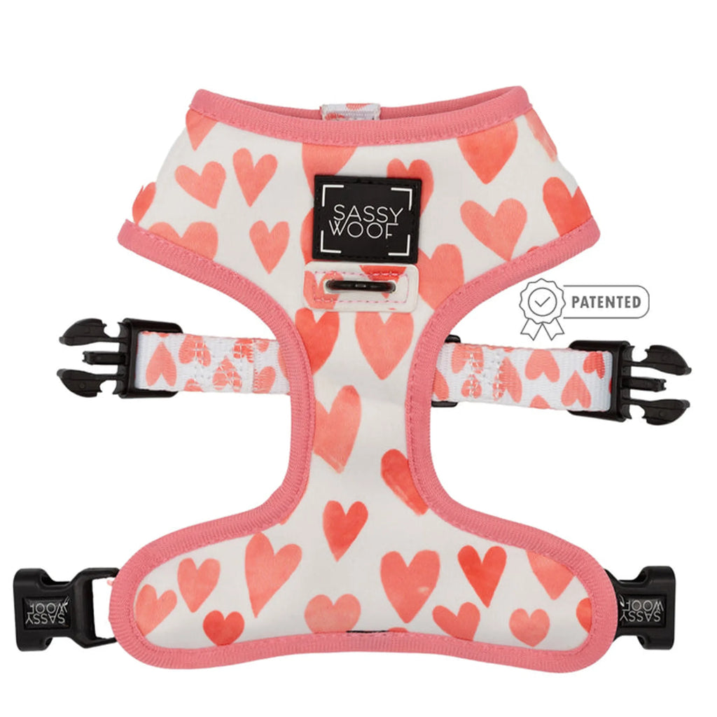 Reversible Harness  - Pack Of: 1