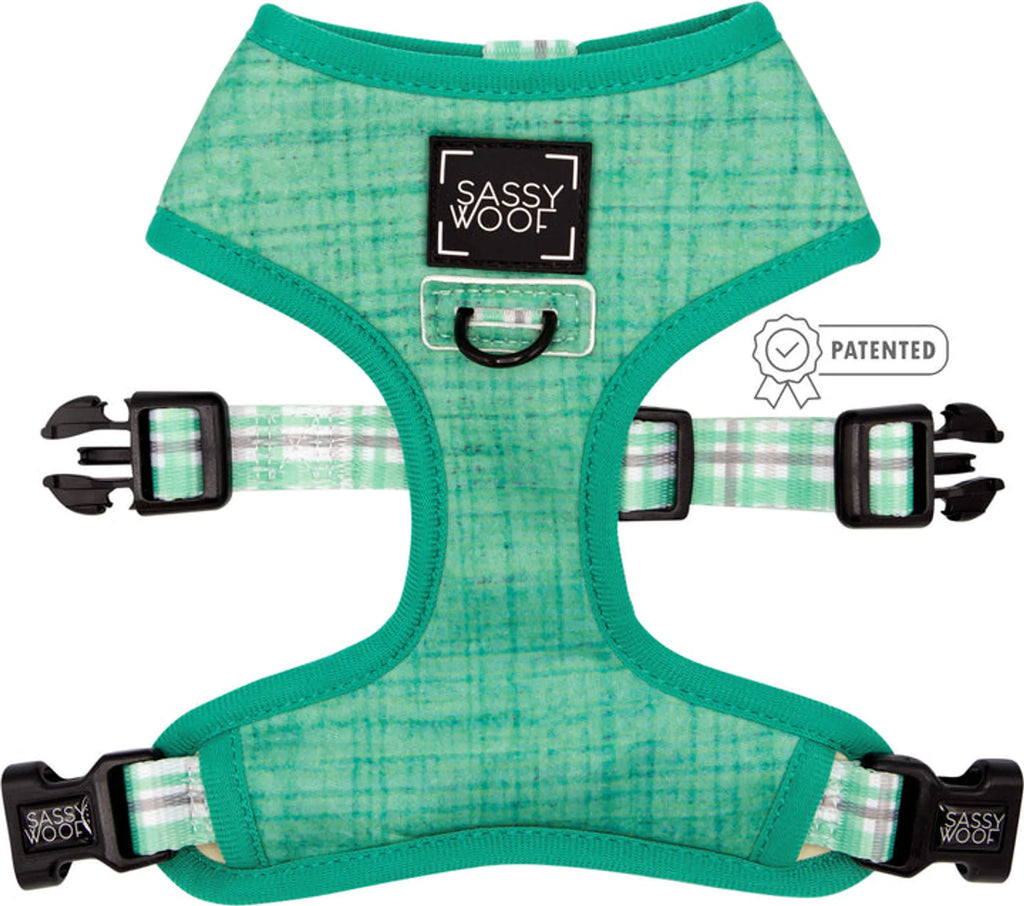 Reversible Harness  - Pack Of: 1