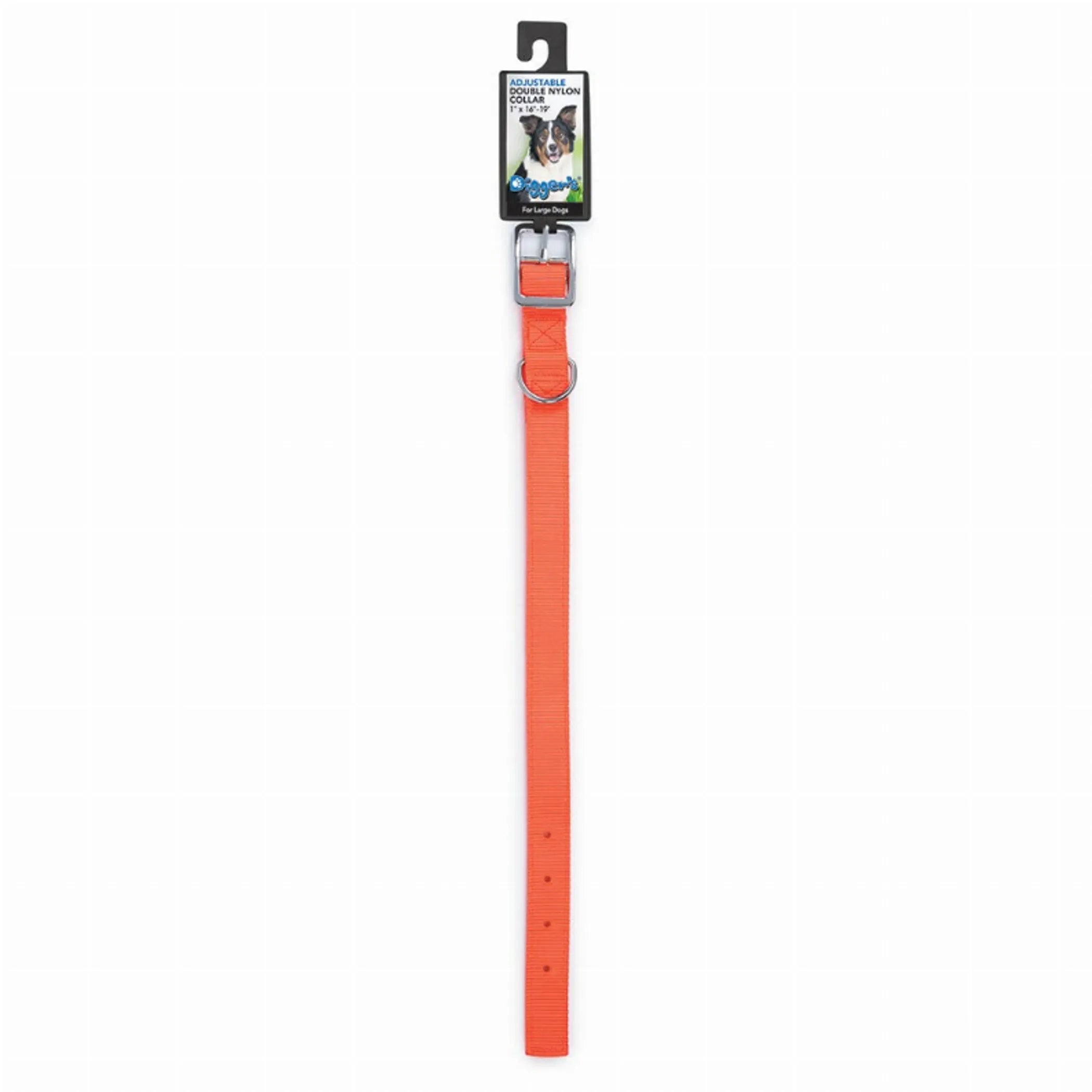 Diggers 1in Nylon Neon Collar 20in Org