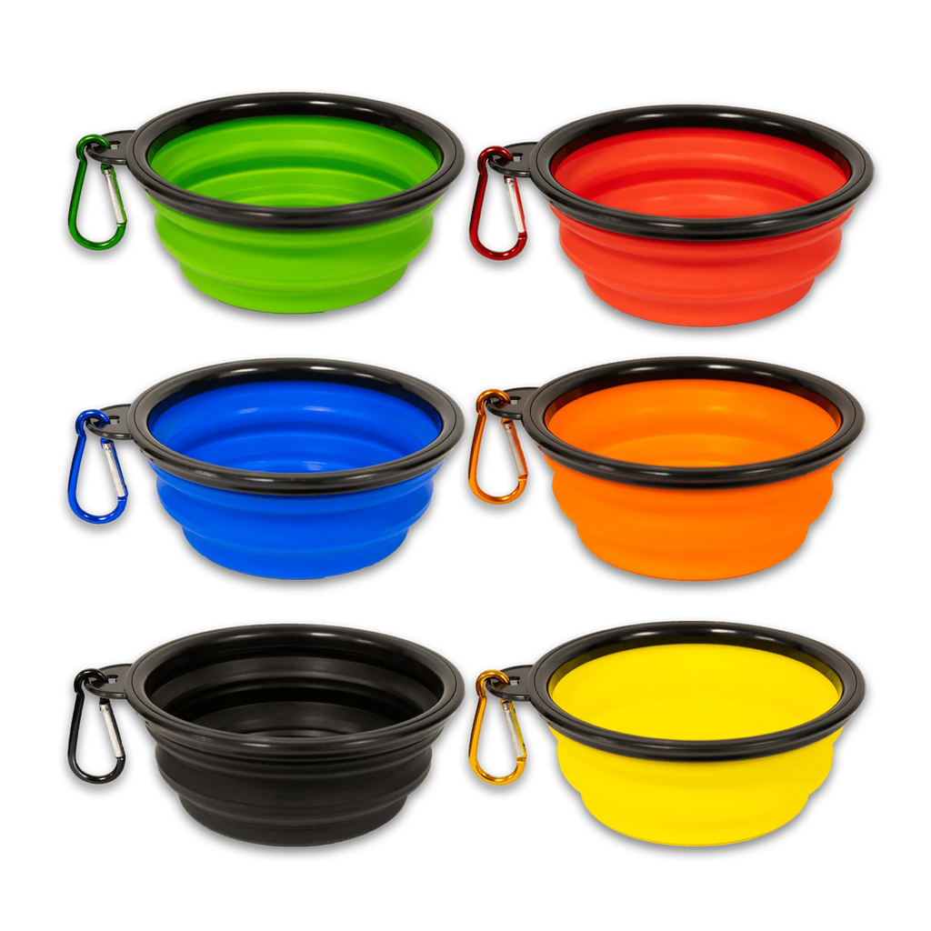 K9 Sport Saucer