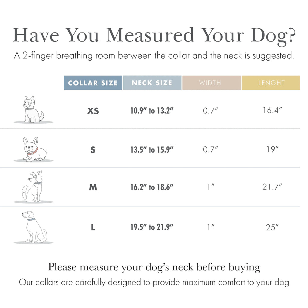 Copenhagen Dog Collar