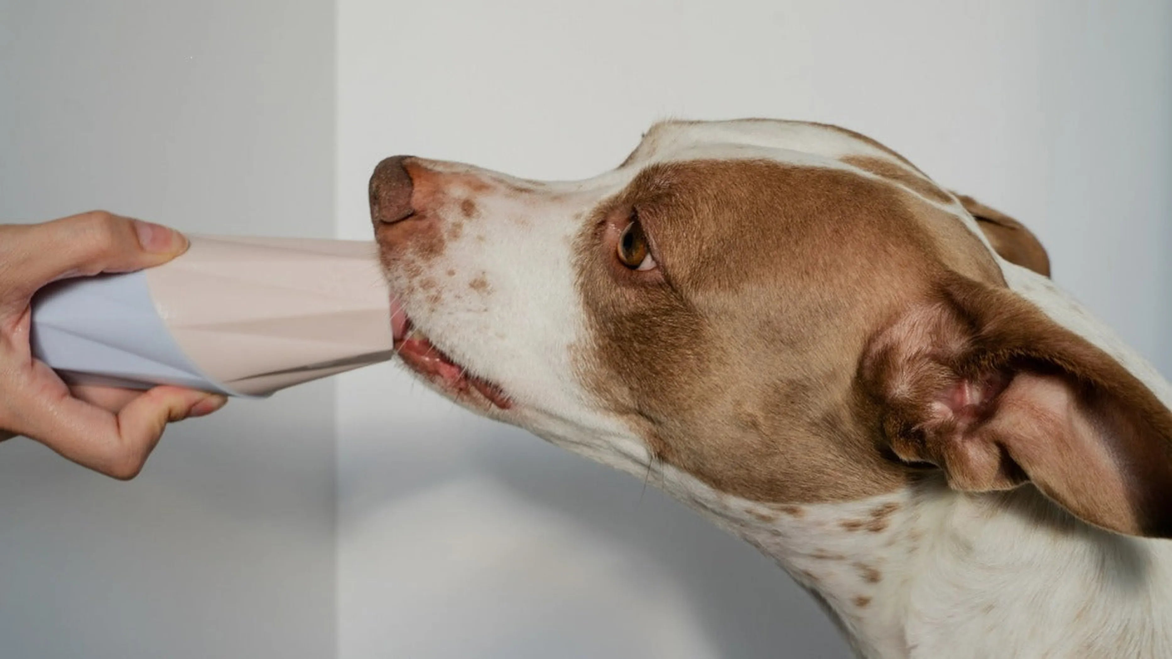 The Ubbe - Treat Filler Chew Toy Made for Easy Cleaning