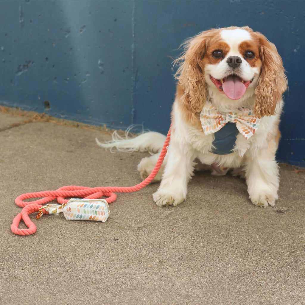 Spiced Coral Rope Dog Leash