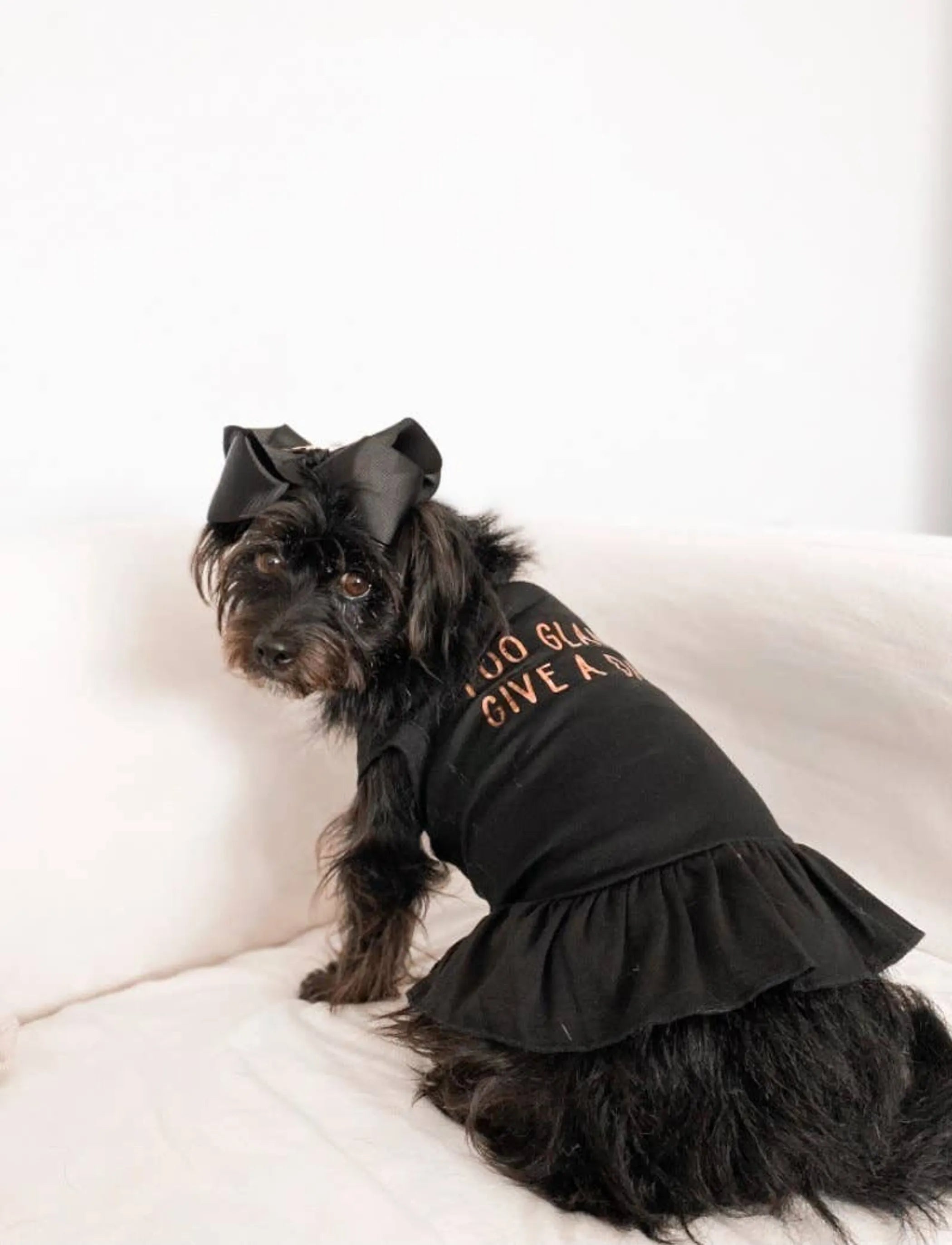 Too Glam to Give a Damn