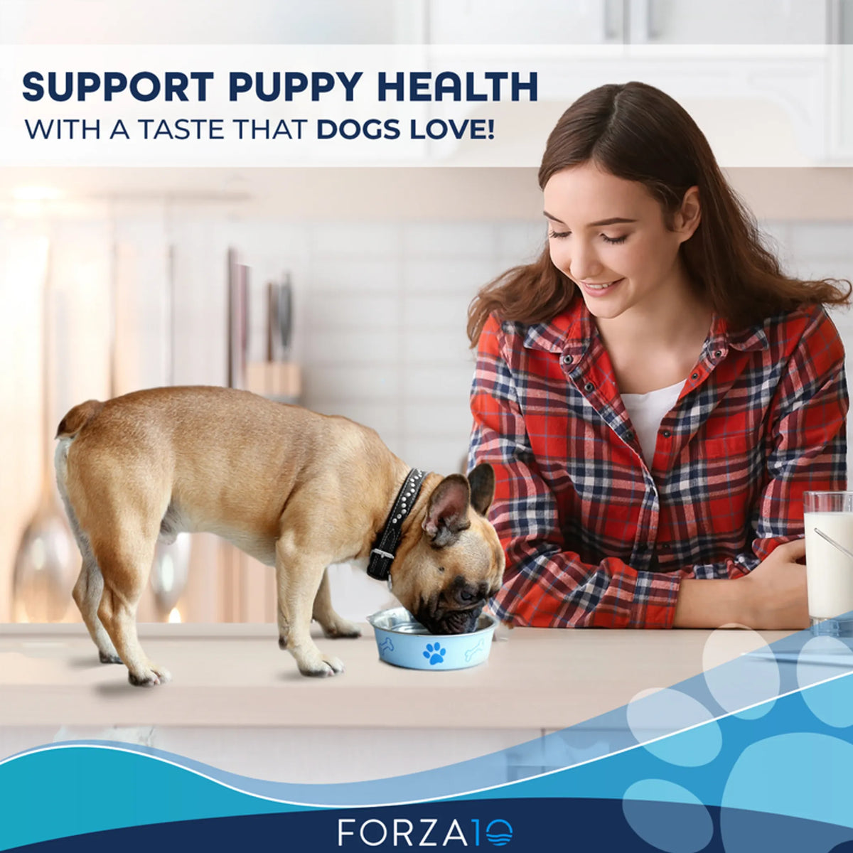 Forza10 Legend Puppy Icelandic Salmon & Lamb Recipe Grain-Free Canned Dog Food