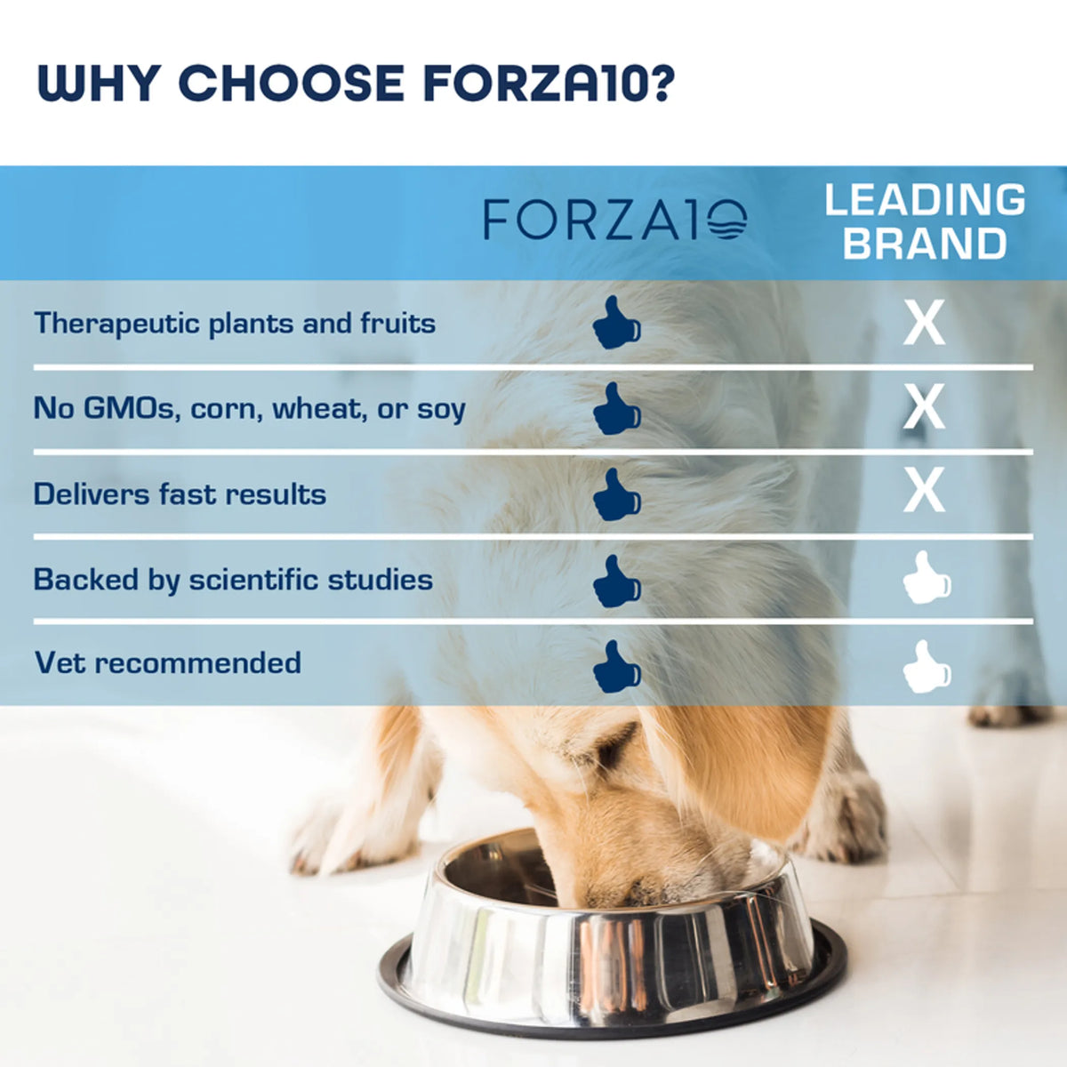 Forza10 Legend Puppy Icelandic Salmon & Lamb Recipe Grain-Free Canned Dog Food