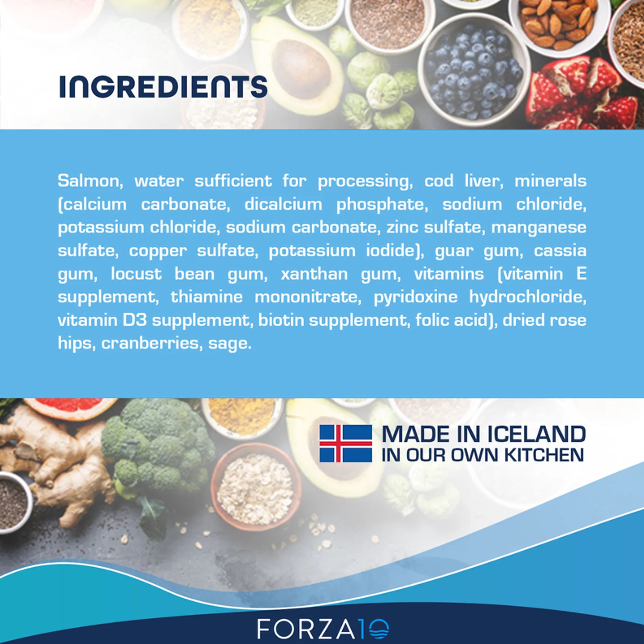 Forza10 Legend Skin Icelandic Fish Recipe Grain-Free Canned Dog Food
