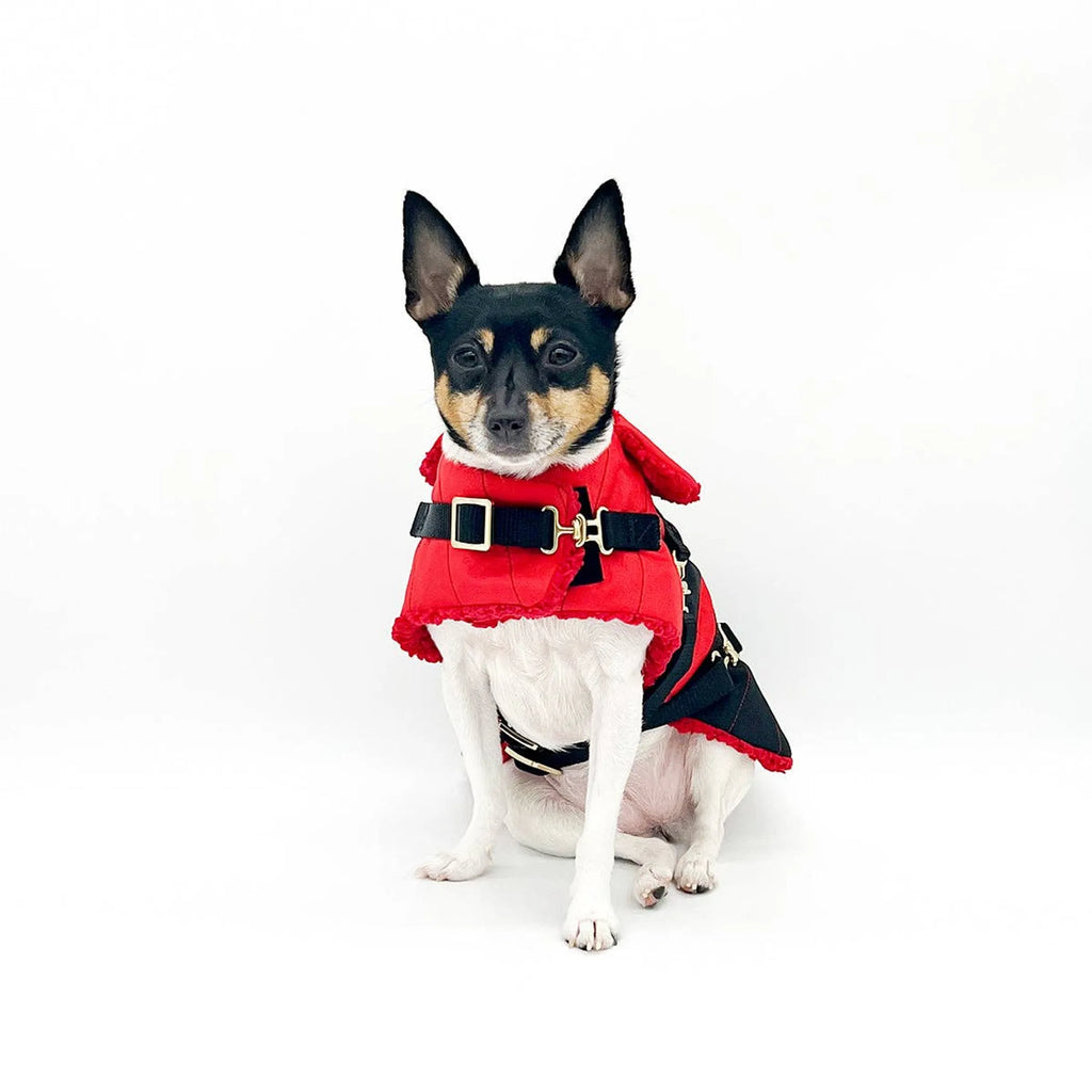 "Ruby Red" - DCNY Equestrian Collection