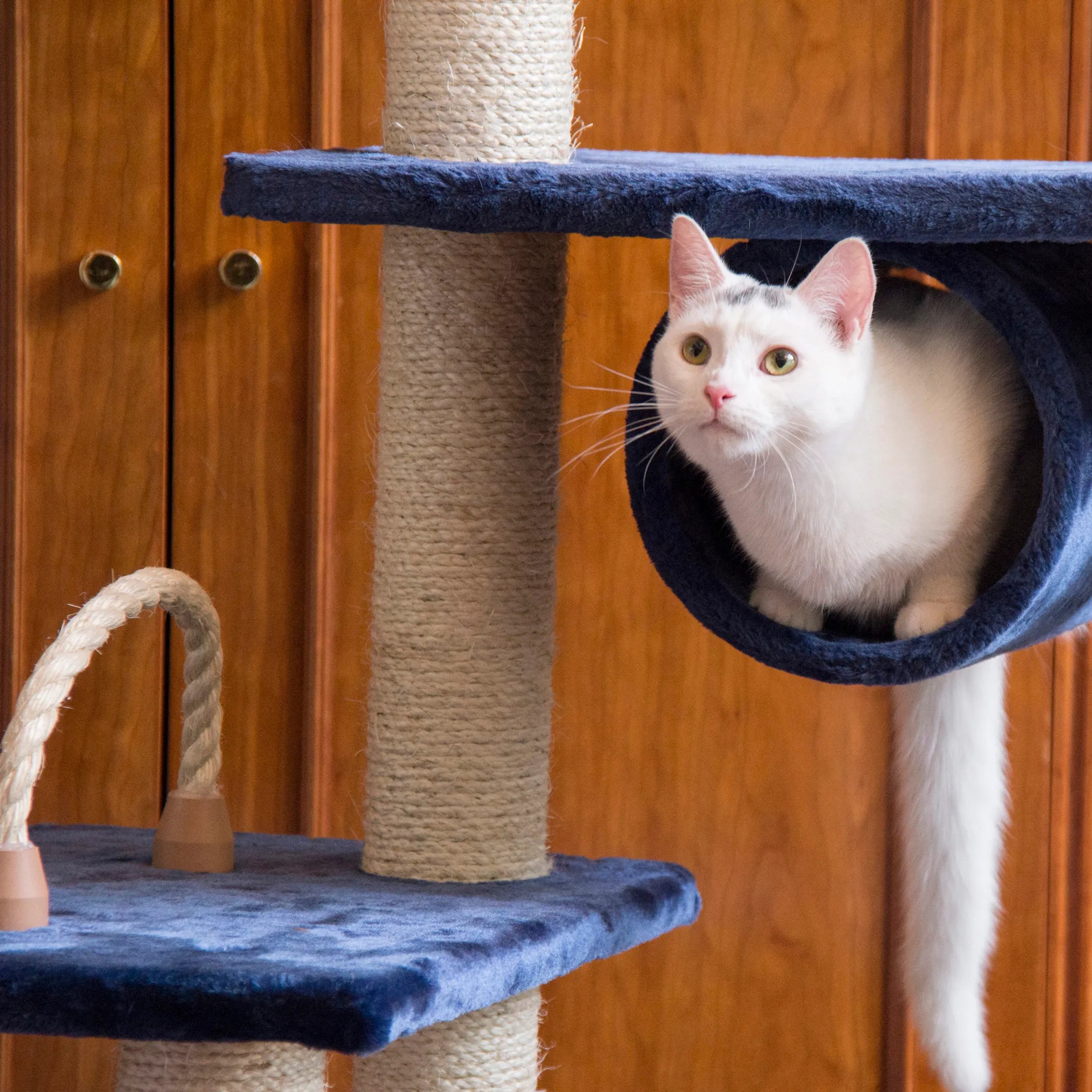 Real Wood 71" Navy Cat ClimbIng Tower Scratching Furniture