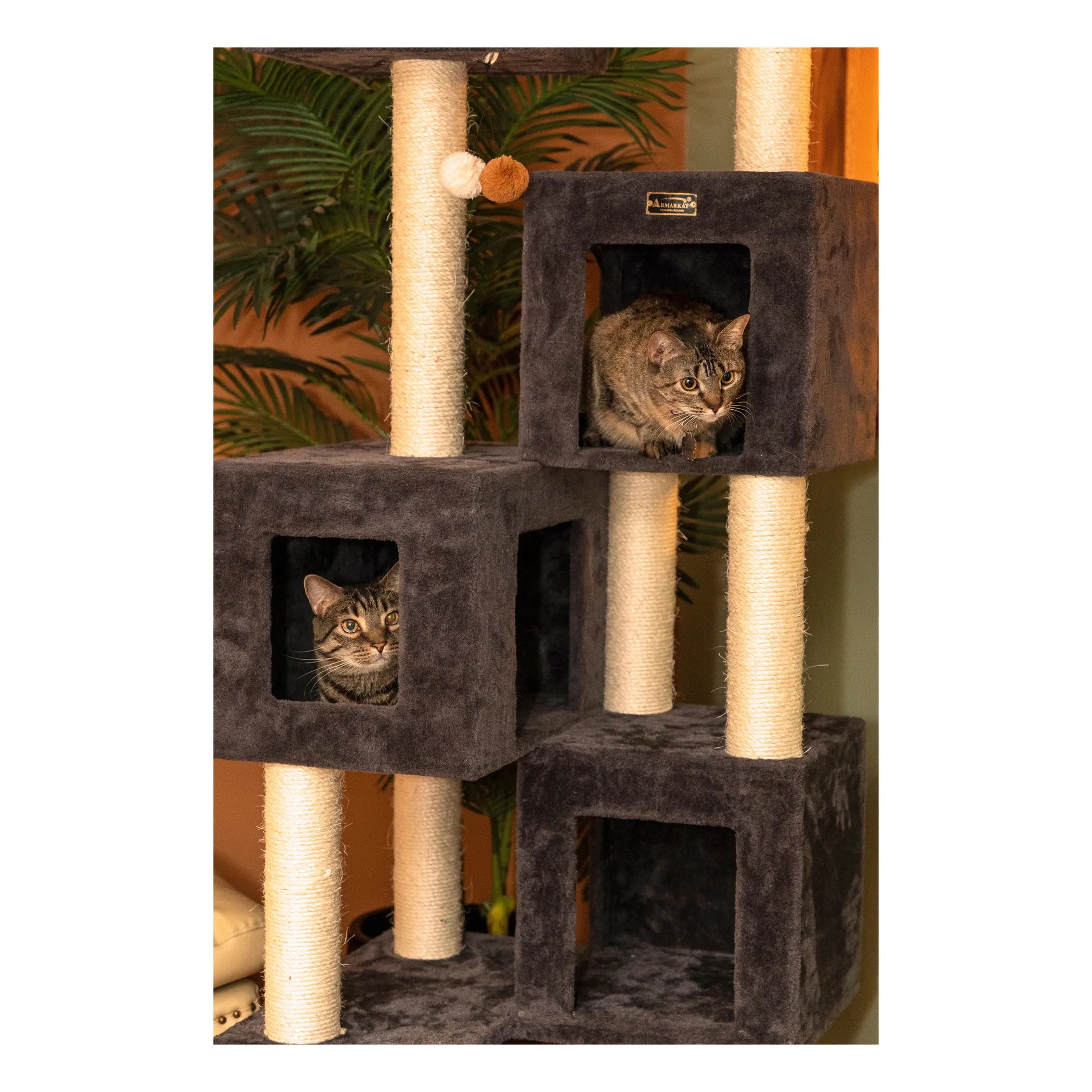 Griant Real Wood Cat Tower for Multiple Cats  A8104