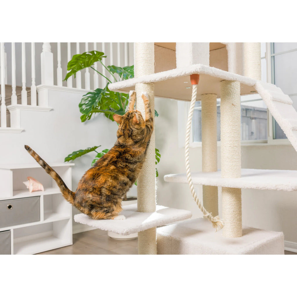 Real Wood B8201 Classic  Ivory Cat Tree Multi Levels W Ramp