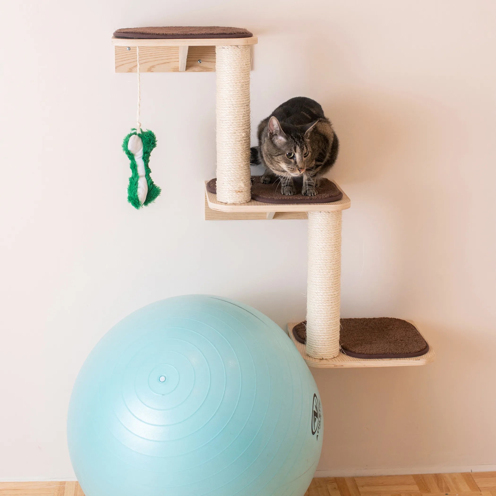 Armarkat Wall Series: Cat Steps W1907C