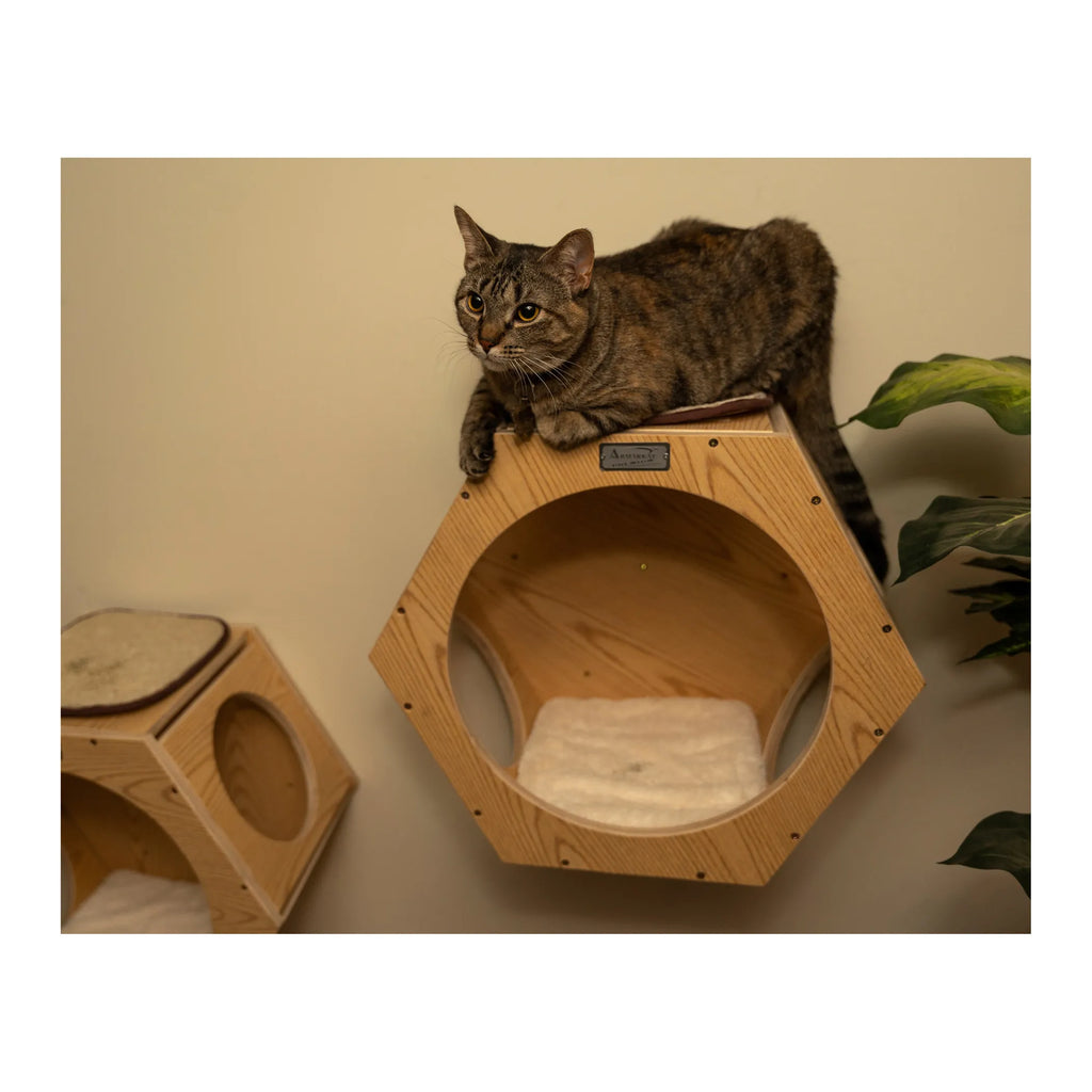 Armarkat Wall Series: Set of Two Wall Tree Additions W2107A