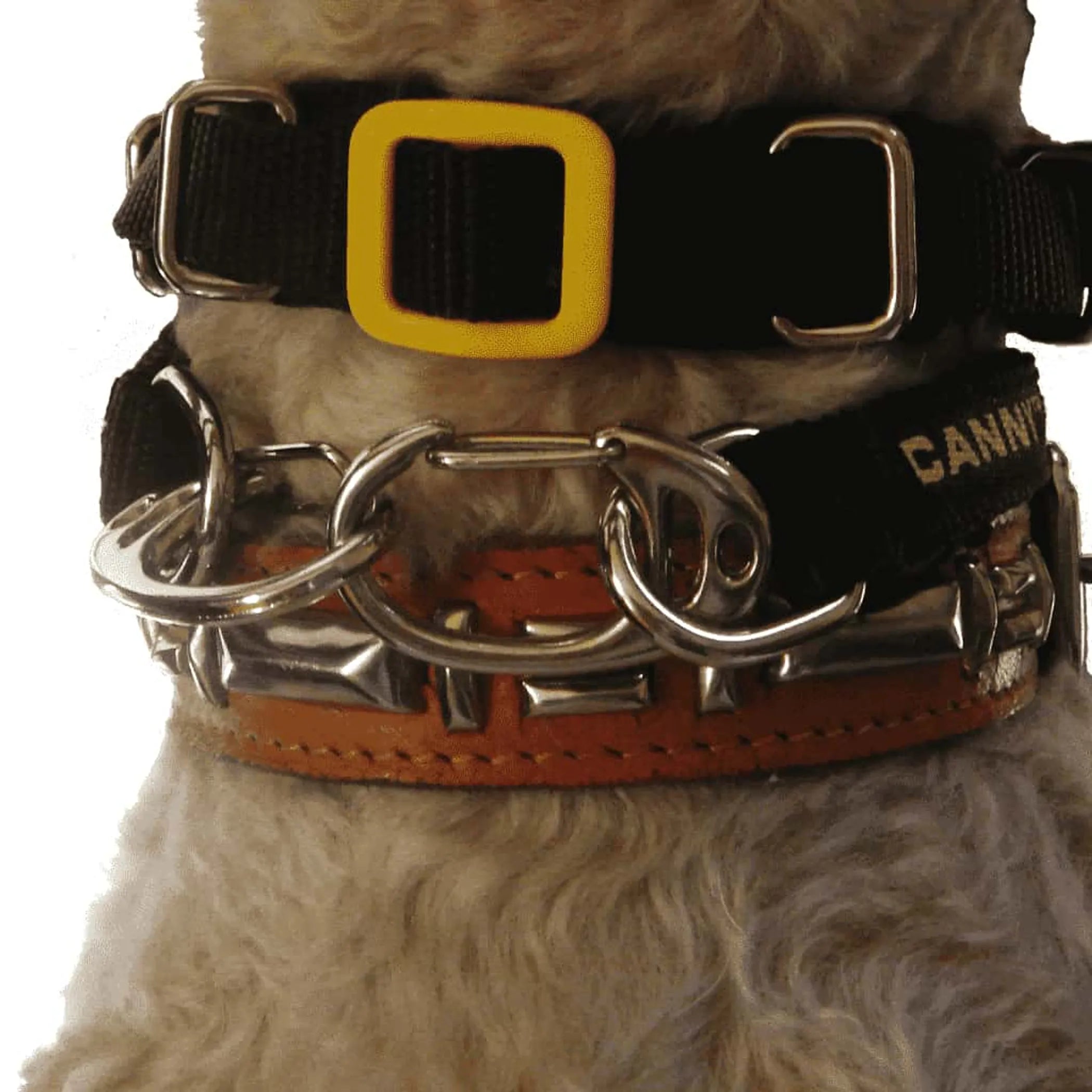 Canny Carabiners [pack of 2]