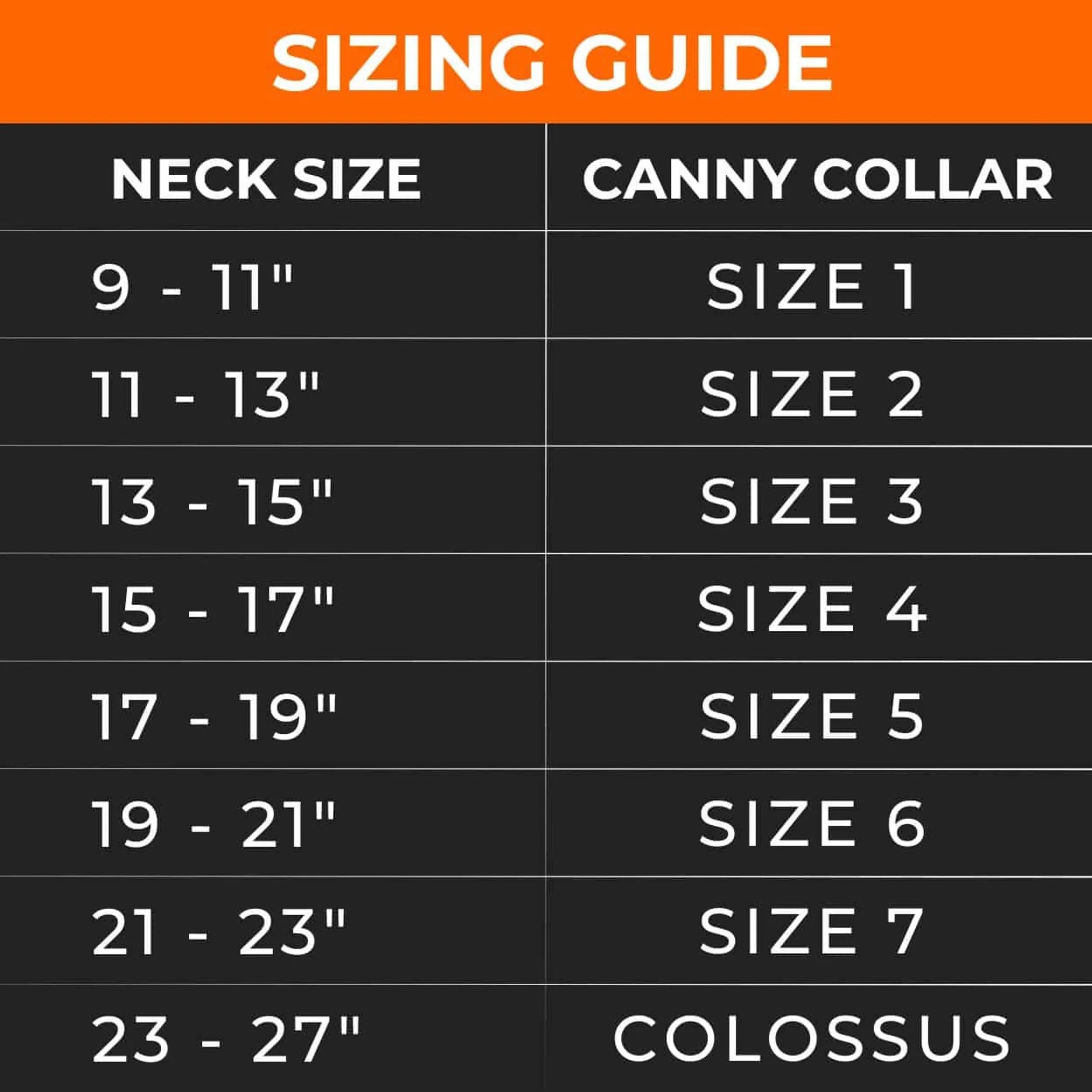 Canny Carabiners [pack of 2]