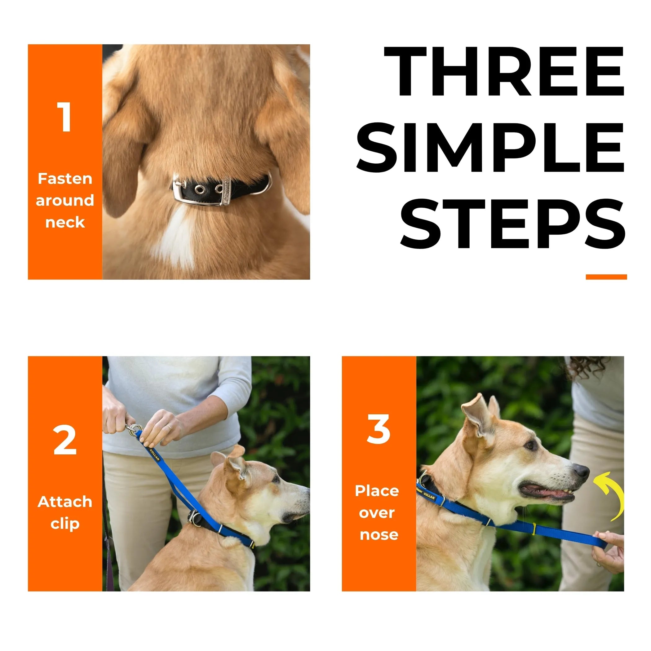 Canny Collar No-Pull Dog Head Collar Gentle & Humane Leash Training Aid