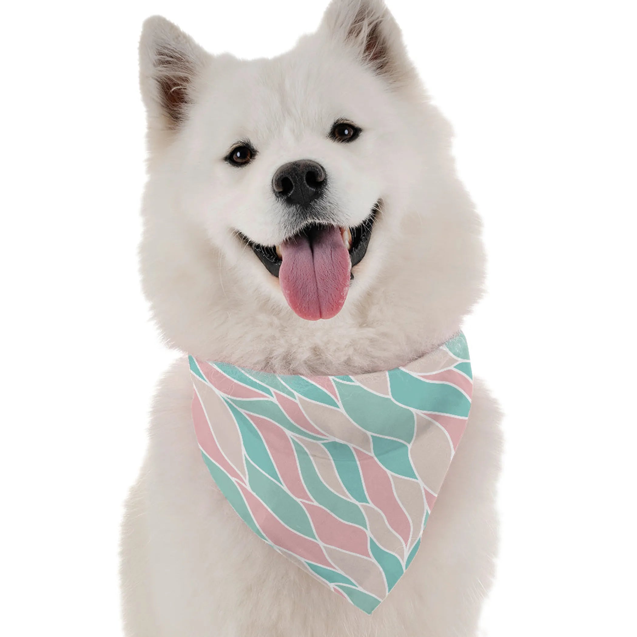 Maya