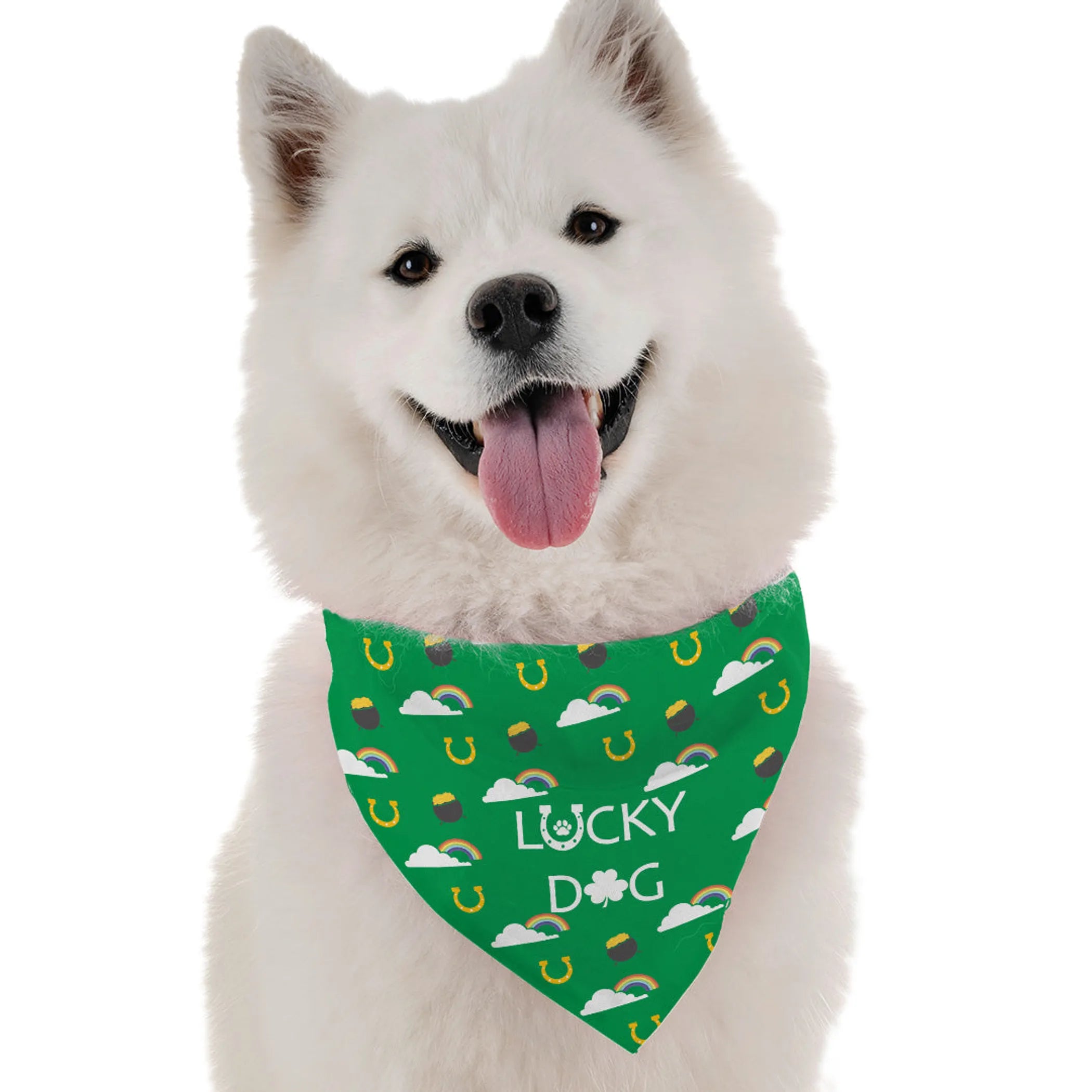 Lucky Dog