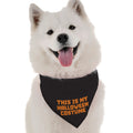 This is My Halloween Costume