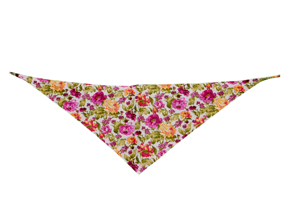 GG129FB|Pets Ribbons