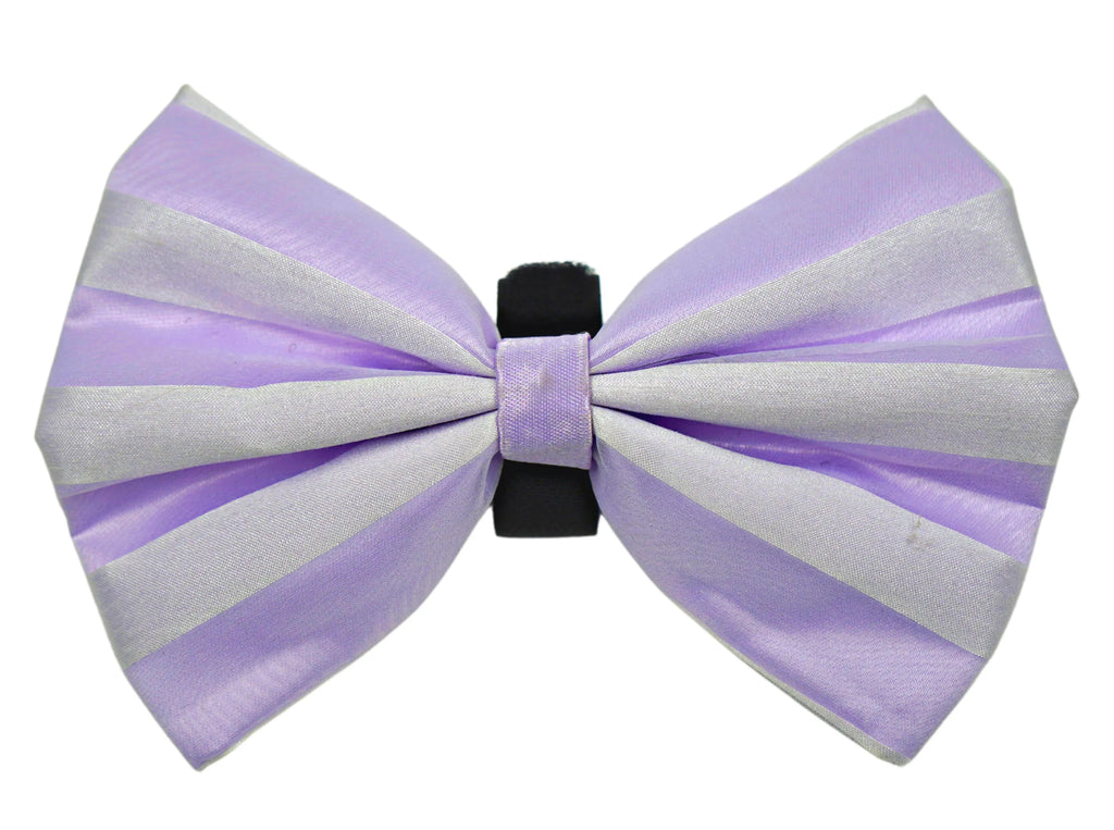 PR3006VA|Pets Ribbons