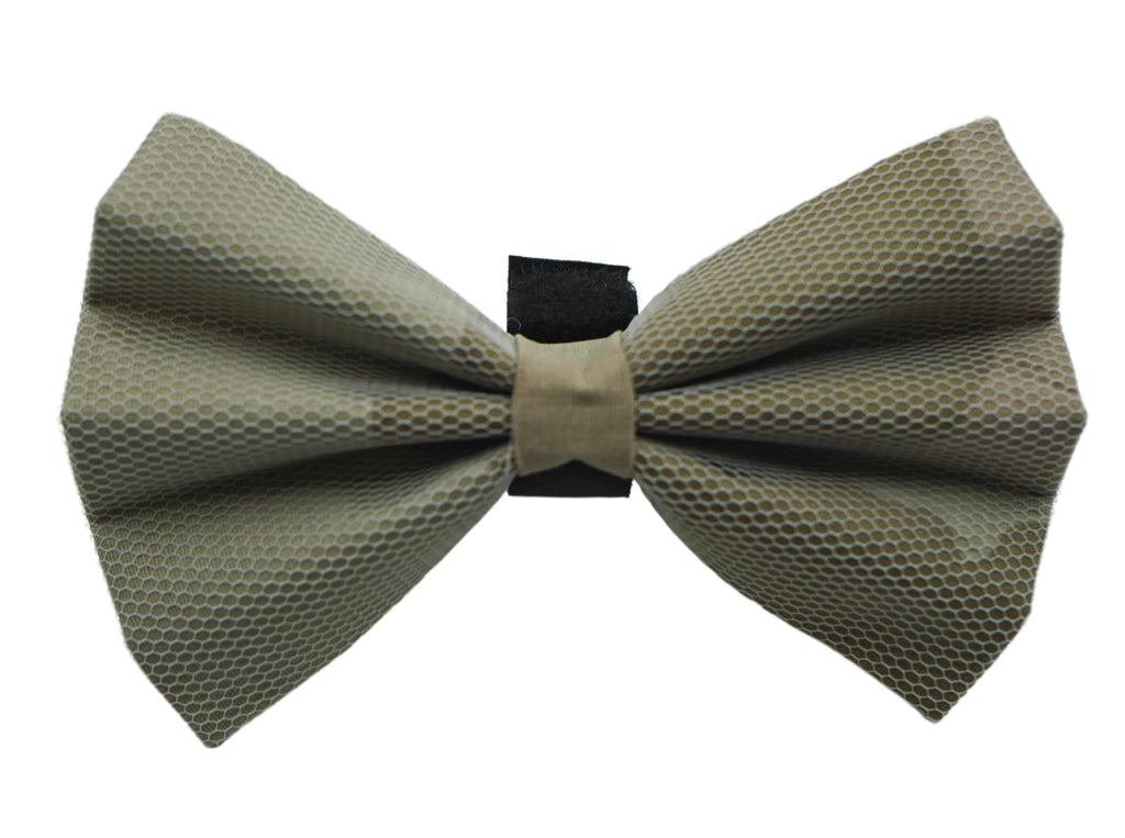 PR5001|Pets Ribbons