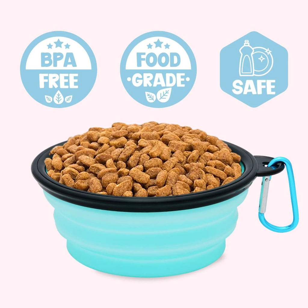 "Place Steak Here" Aqua Dog Bowl