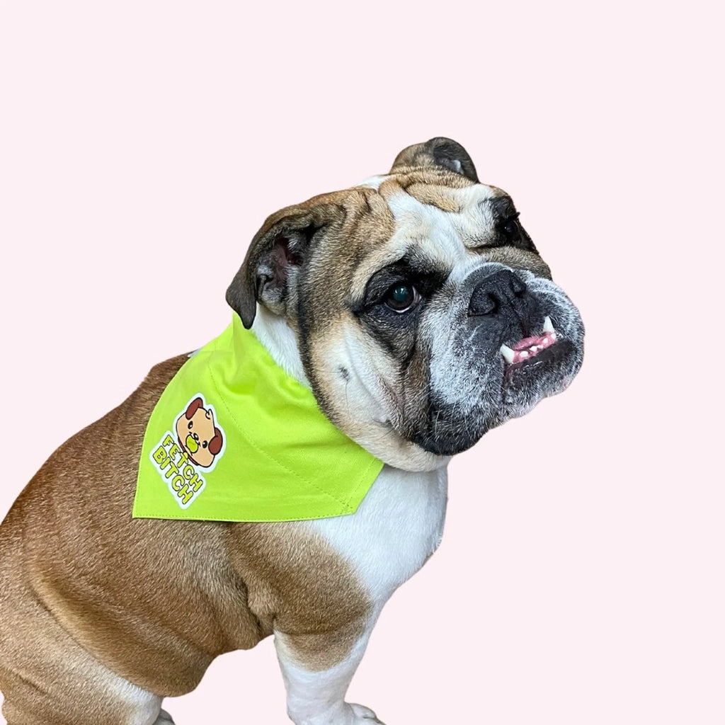 "Fetch Bitch" Lime Green Collar Bandana