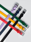 Dog Collar