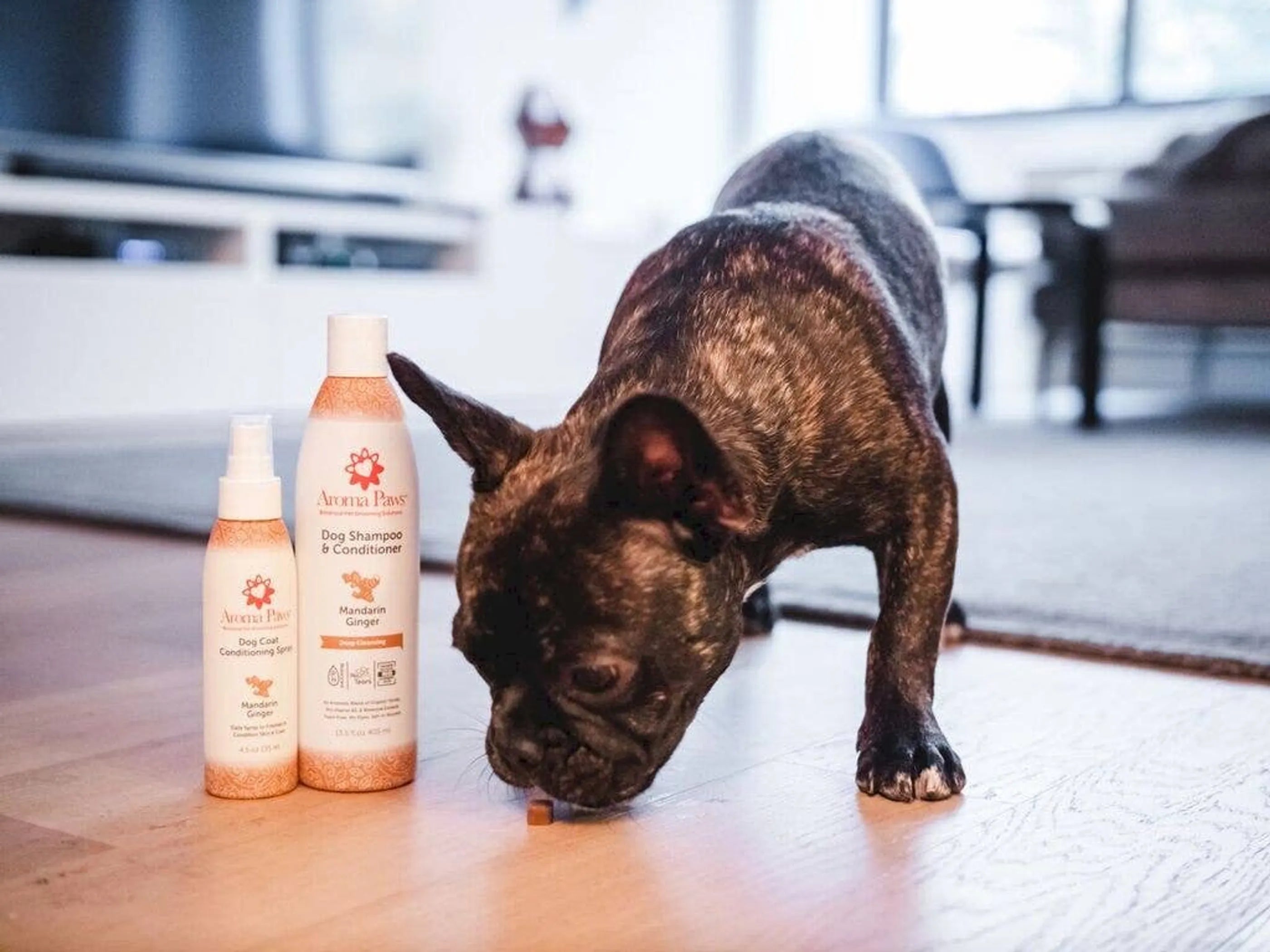 13.5 Oz. Shampoo Mandarin Ginger
