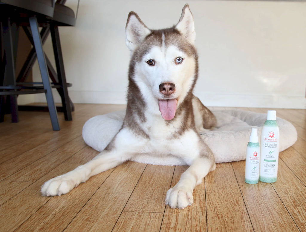 4.5 Oz. Dog Coat Spray Eucalyptus Peppermint