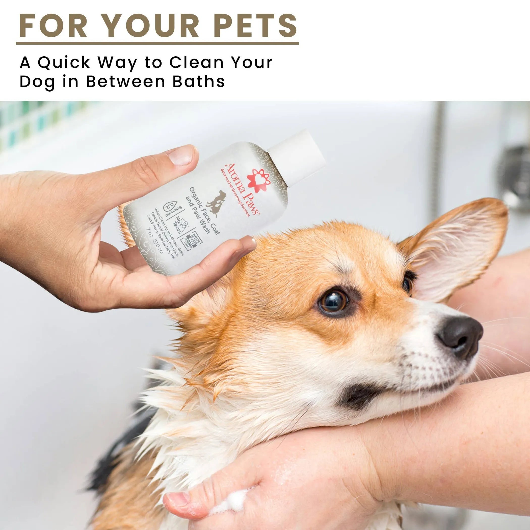 7 Oz. Organic Face, Coat & Paw Wash