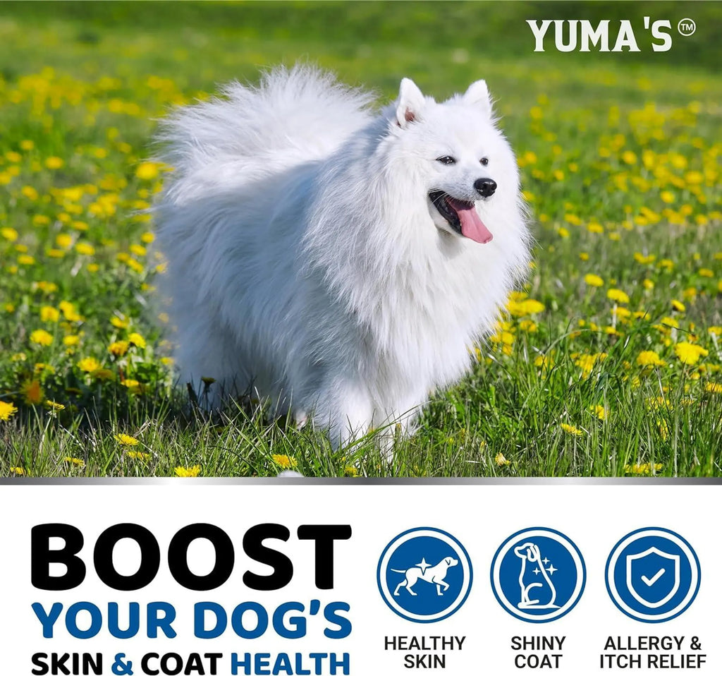 Omega 3 Fish Oil for Dogs
