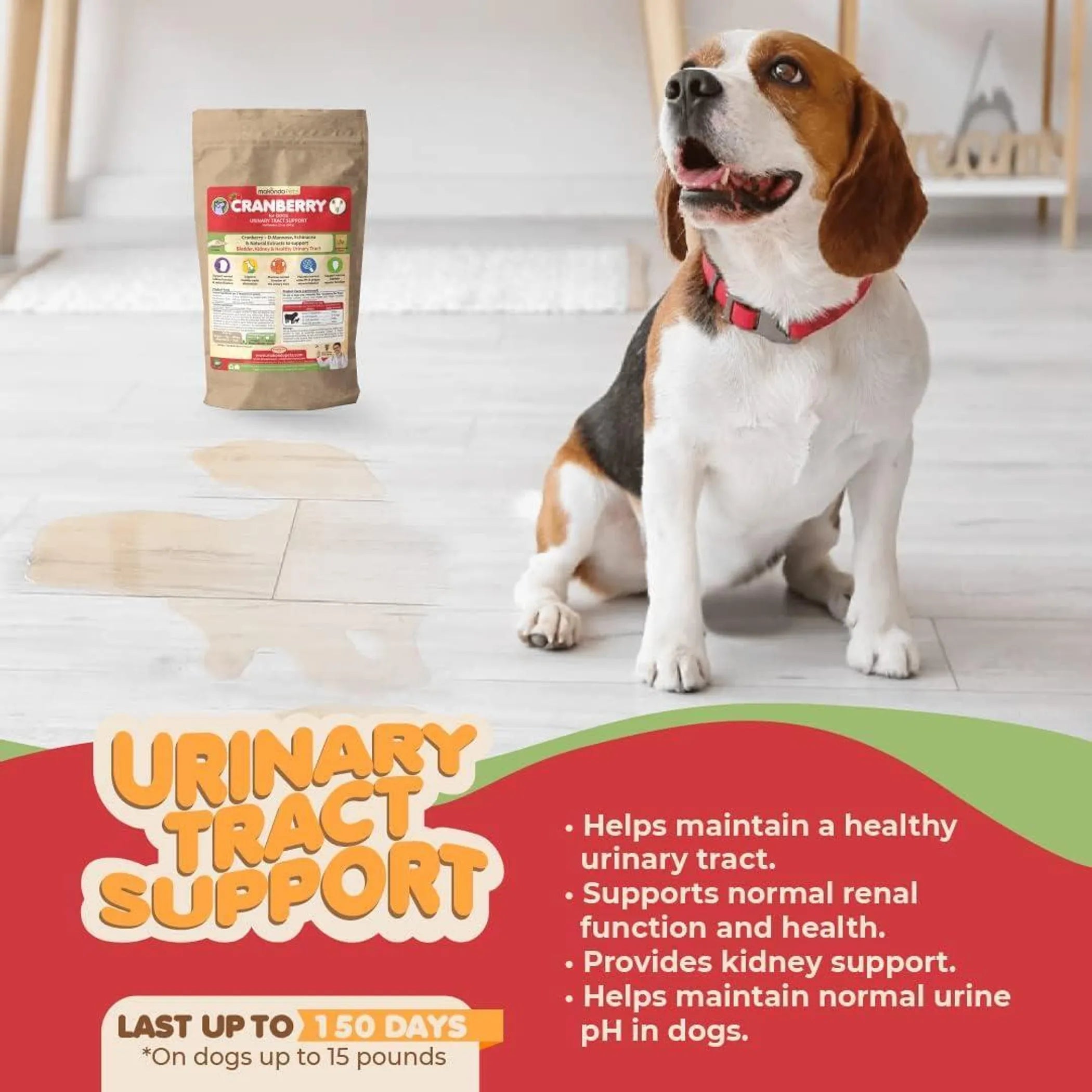Dog Cranberry Supplement Natural Dog UTI Treatment & Kidney Support for Dogs