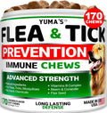 Flea and Tick Prevention for Dogs