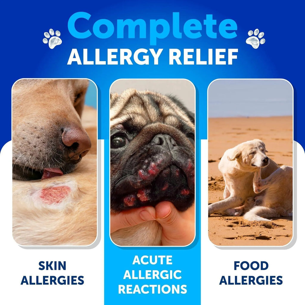 Probiotics for Dogs Support Gut Health Itchy Skin Allergies