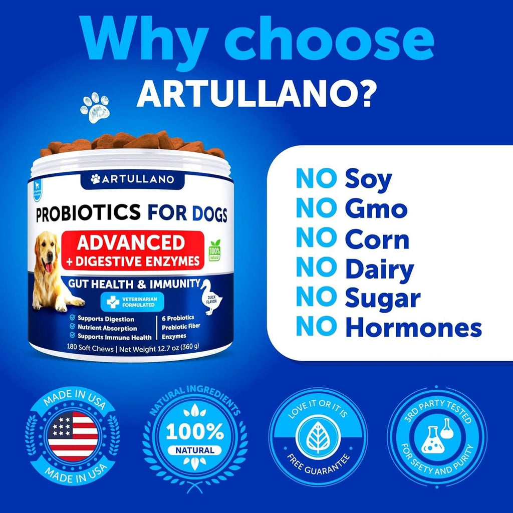 Probiotics for Dogs Support Gut Health Itchy Skin Allergies