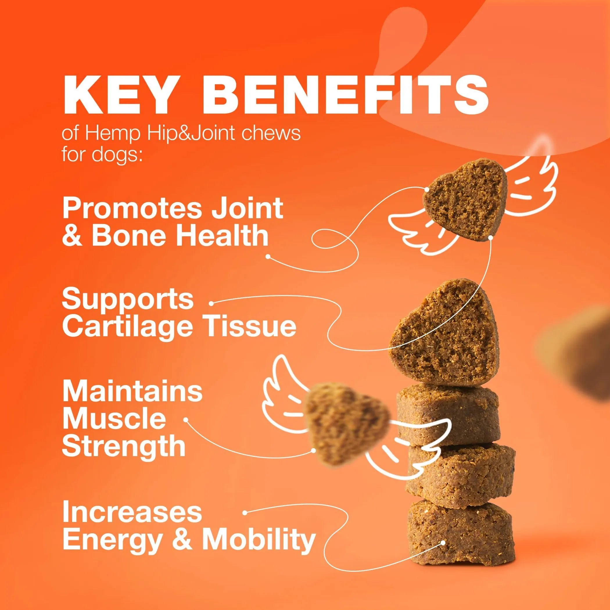 Hip & Joint Health Supplement