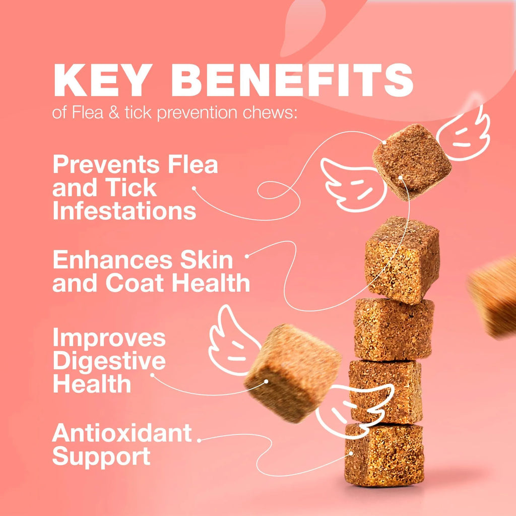 Flea Treatment for Cats