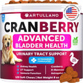 Dog UTI Treatment