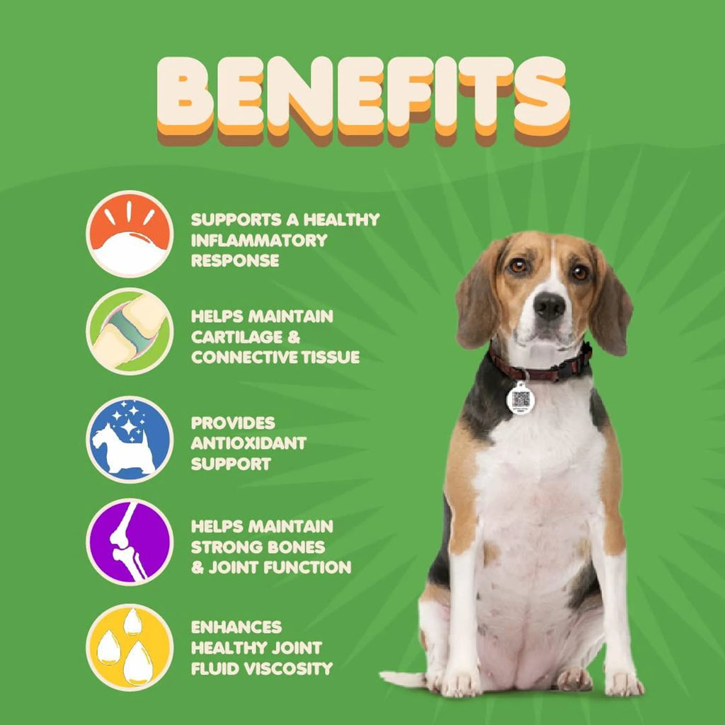 Joint Supplement for Dogs
