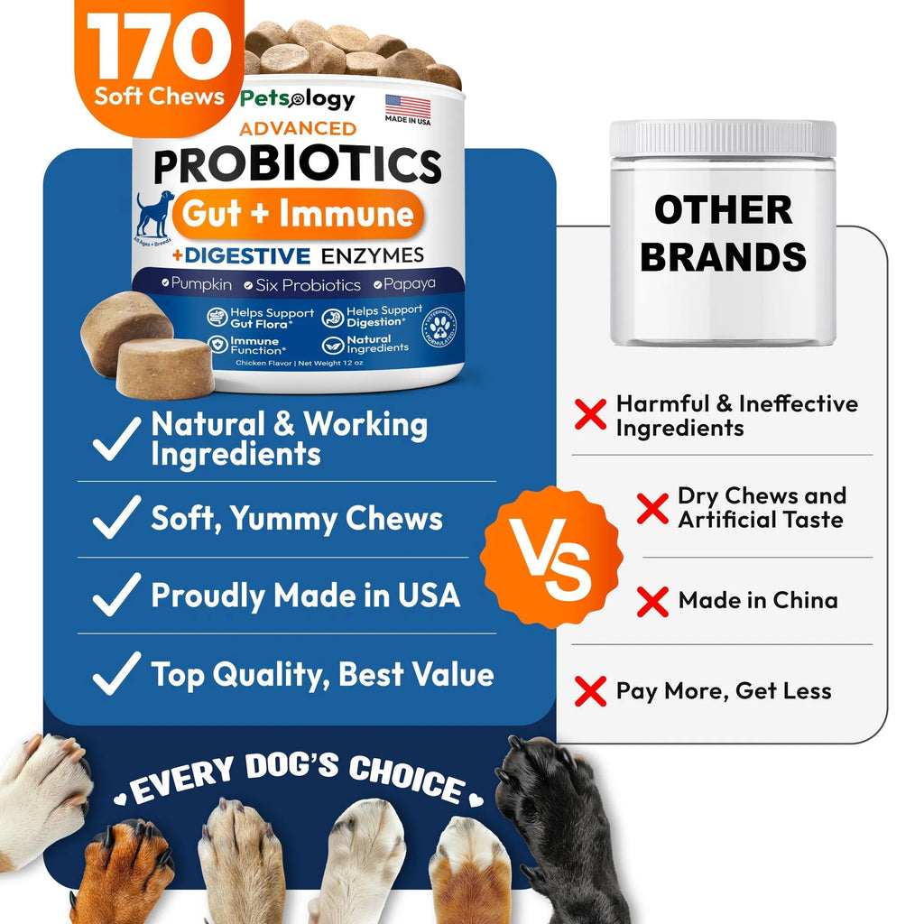 Probiotics for Dogs