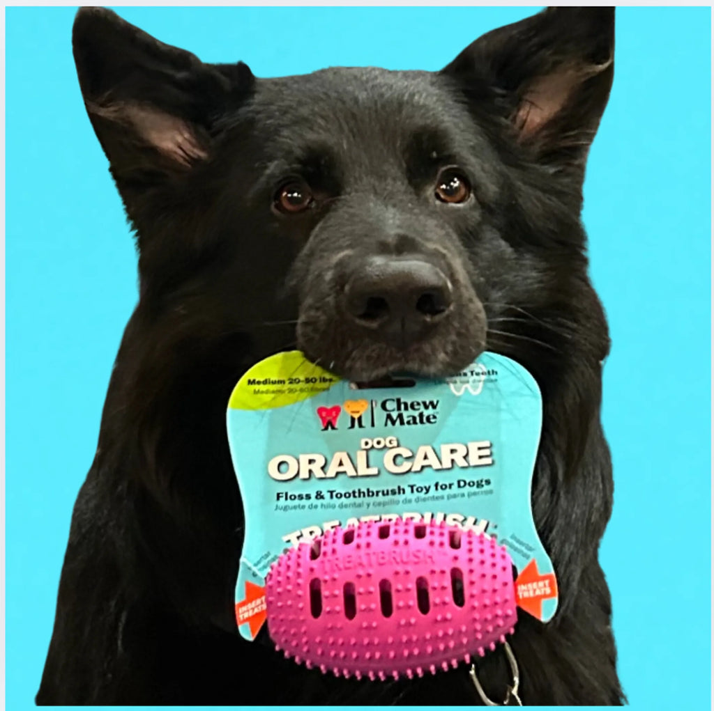 Natural Rubber Football Oral Care Toy