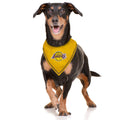 DALLAS MAVERICKS TIE AROUND BANDANA
