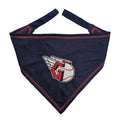 TEXAS RANGERS TIE AROUND BANDANA